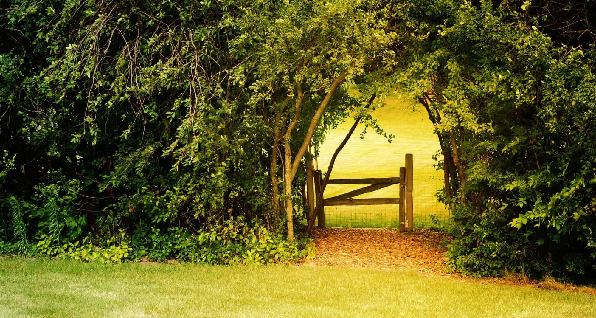 rite of passage, garden gate